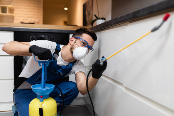 Best Rat Extermination Near Me  in Farngton Hills, MI