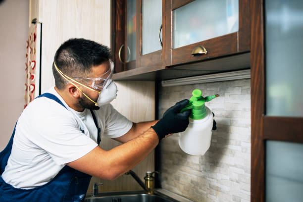 Best Best Pest Control Companies  in Farngton Hills, MI