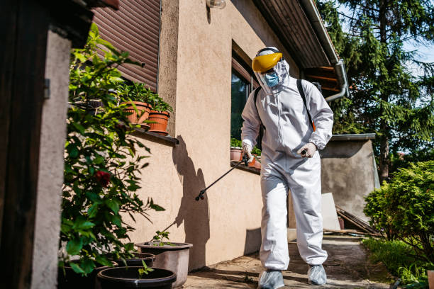 Best Termite Control Services  in Farngton Hills, MI