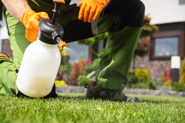 Best Wildlife Control Services  in Farngton Hills, MI