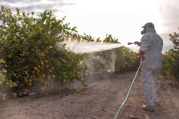 Best Local Pest Control Services  in Farngton Hills, MI