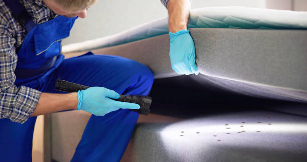 Trusted Farmington Hills, MI Pest Control Experts