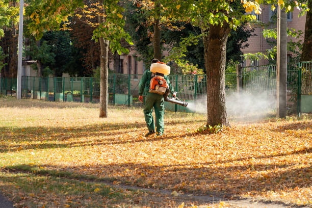 Best Flea Control Services  in Farngton Hills, MI